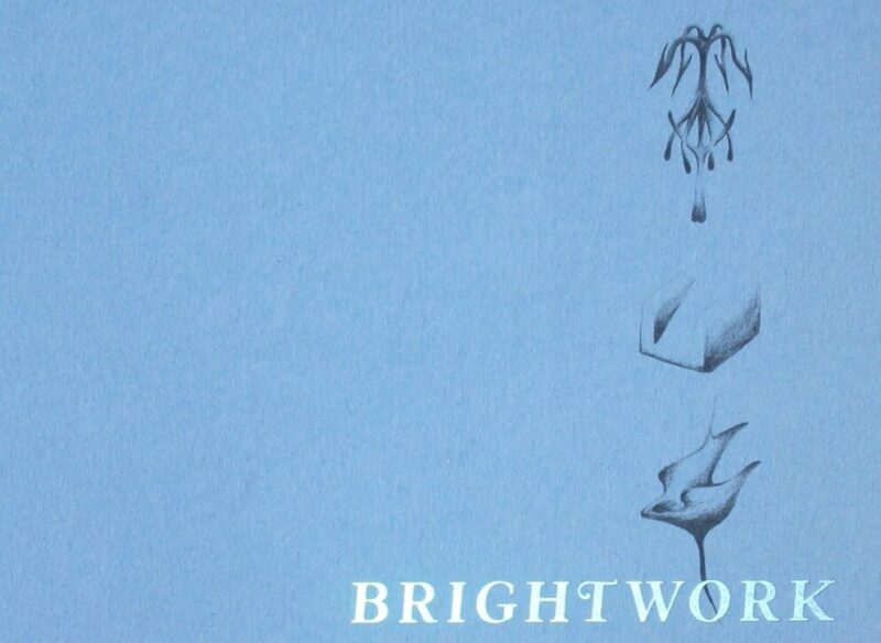 REVIEW: SUZANNAH V EVANS’ ‘BRIGHTWORK’