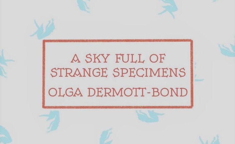 REVIEW: OLGA DERMOTT-BOND’S ‘A SKY FULL OF STRANGE SPECIMENS’